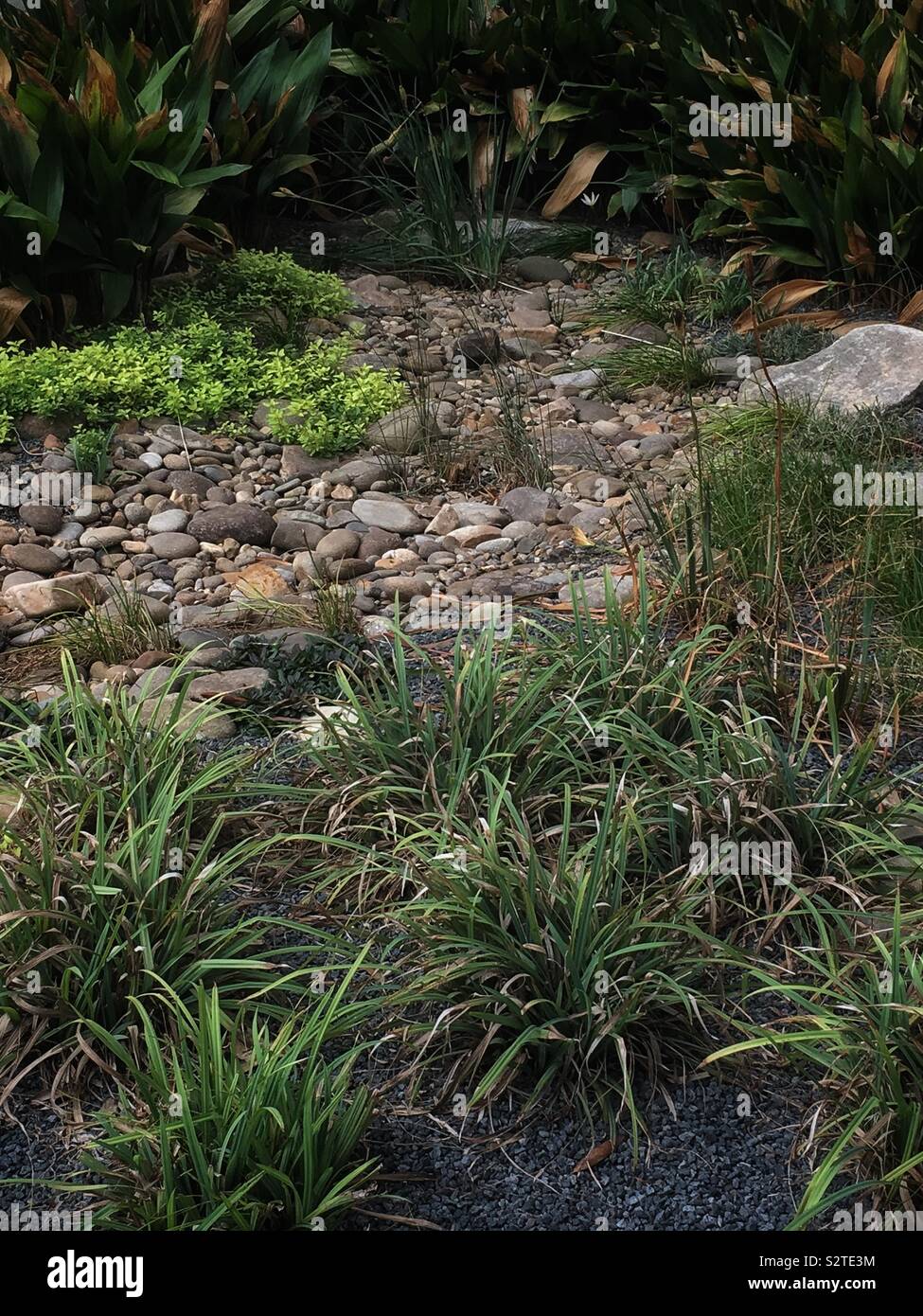 Urban gardening with stones, rocks, and low maintenance plants that require little water. Stock Photo