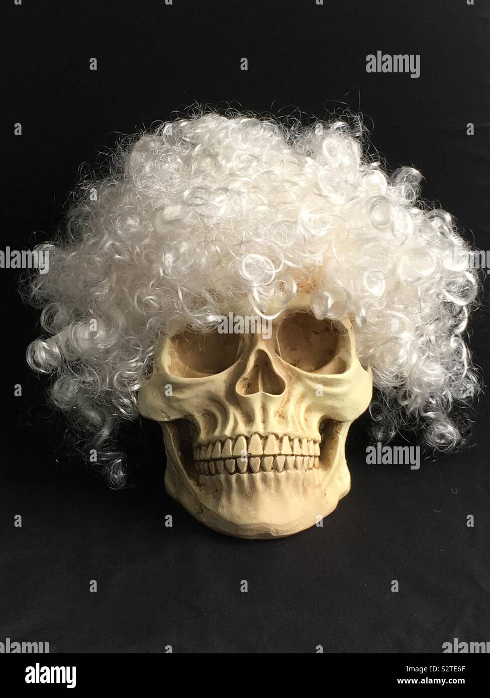 Skull wearing a white Afro wig against a black background Stock Photo