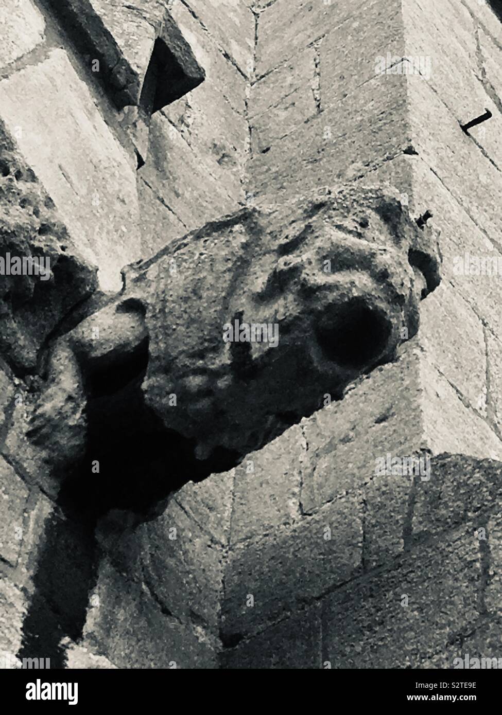 Gargoyle - Smartphone Captured Stock Image