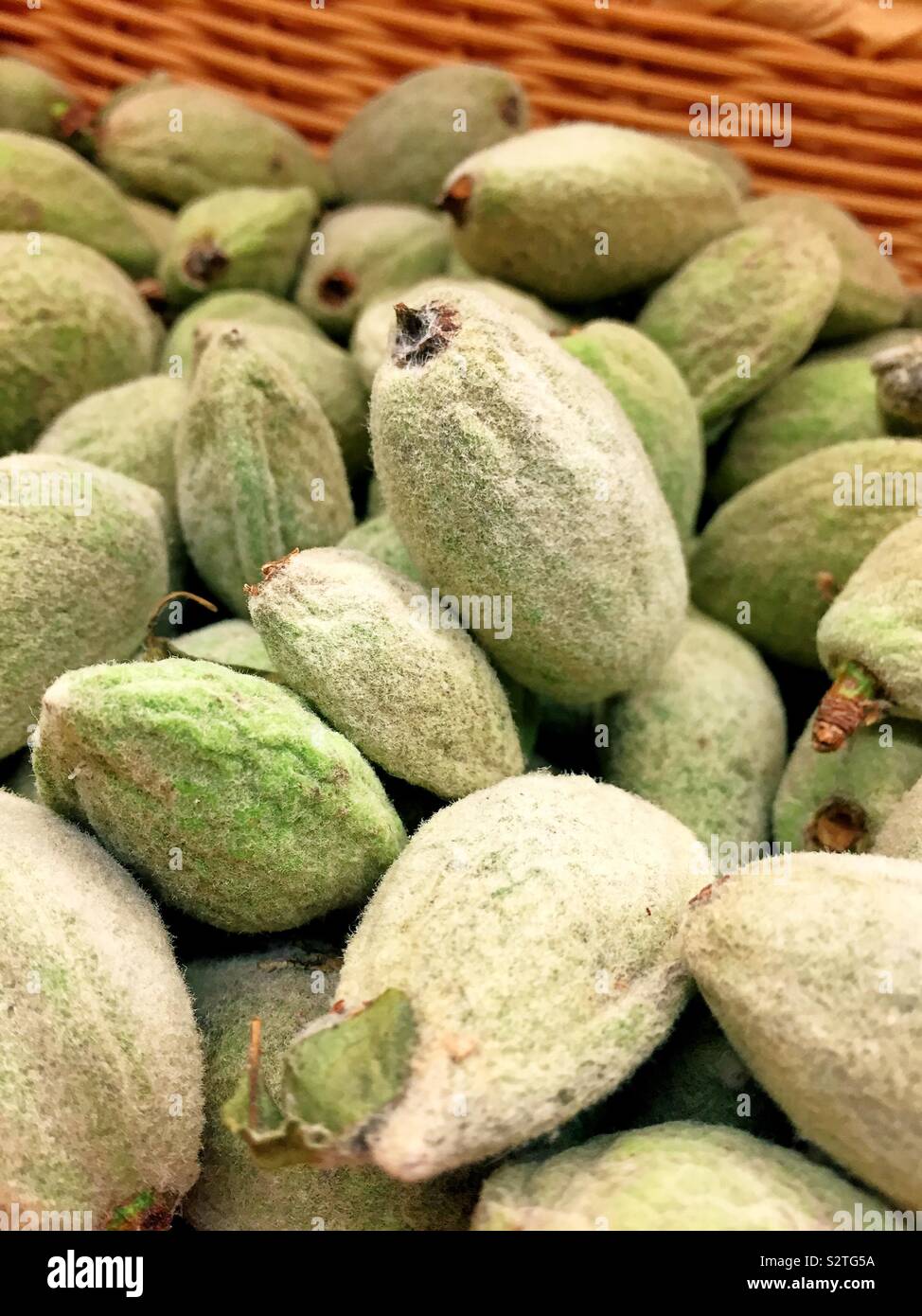 Fresh green almonds for sale in the produce aisle of a grocery store