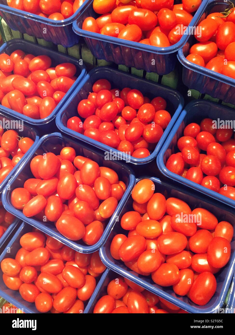 Red grape tomatoes bins for sale in a grocery store produce aisle USA Stock Photo