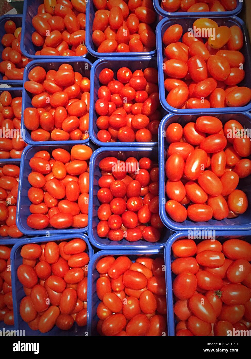 Red grape tomatoes bins for sale in a grocery store produce aisle, USA Stock Photo