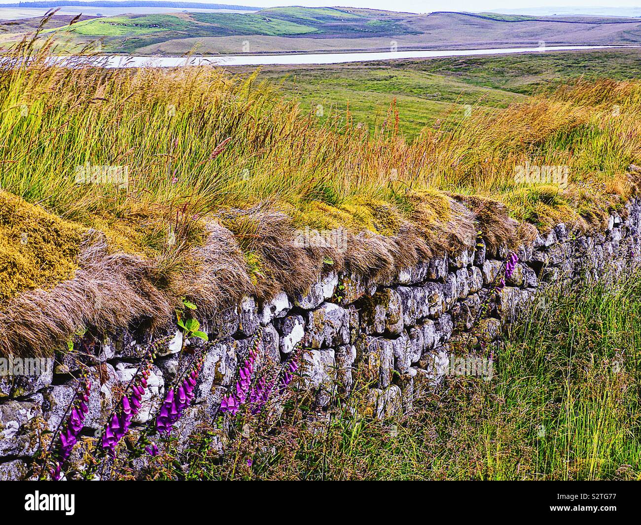 Hadrian’s Wall at Housesteads, Northumberland, England - Smartphone Captured Stock Image