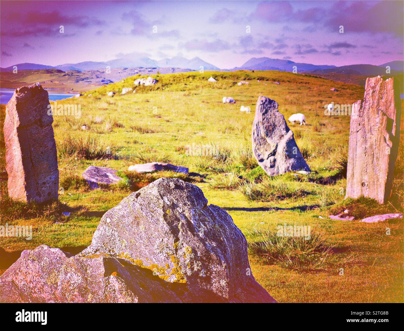 Callanish III (Cnoc Fillibhir Bheag) standing stones stone circle, Isle of Lewis, Outer Hebrides, Scotland Stock Photo