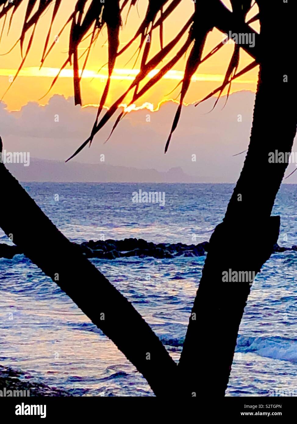 Sunset on Maui Hawaii framed by crosses palm trees Stock Photo Alamy