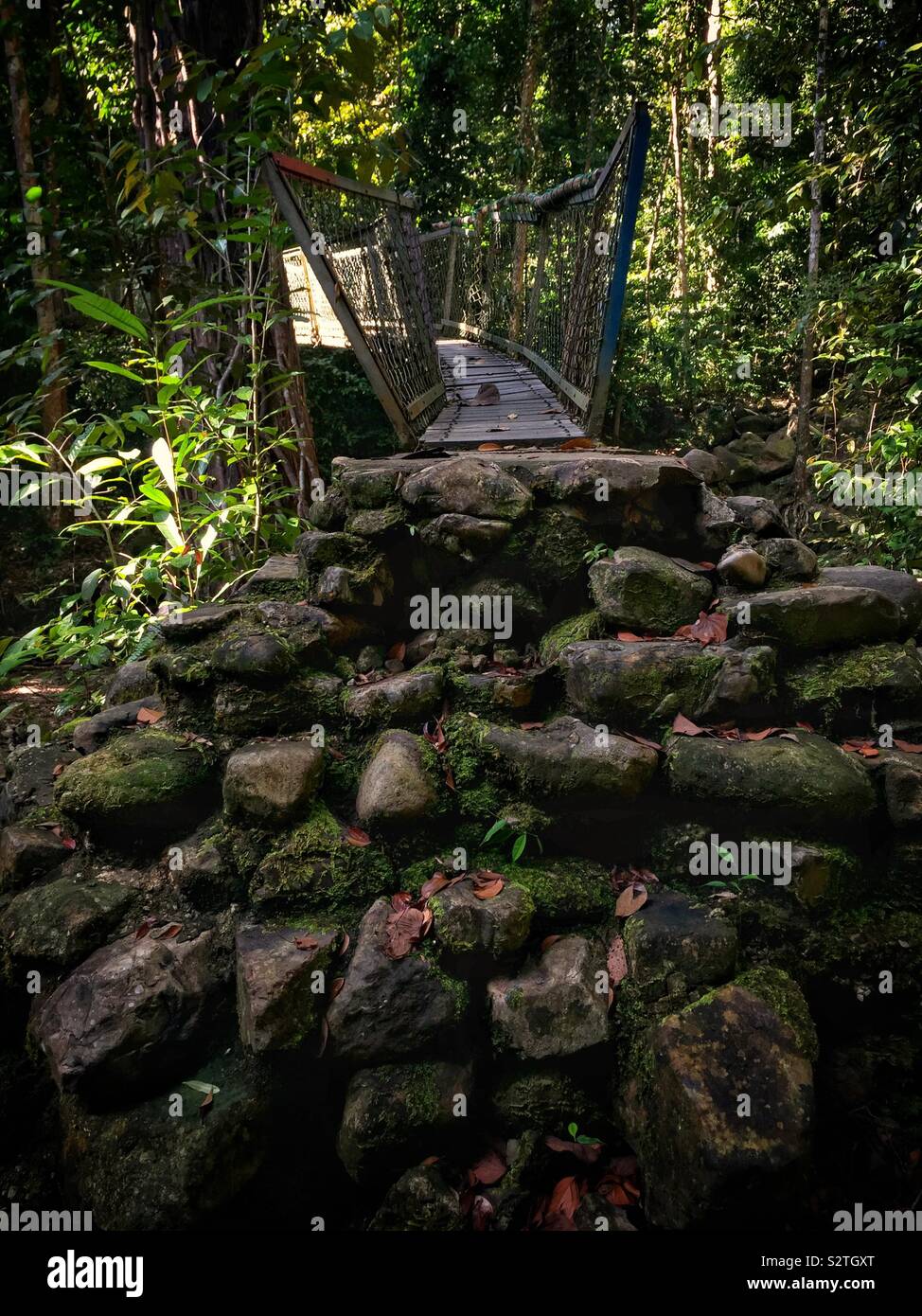 A makeshift suspension bridge on a jungle walking trail in Sanbutong National Park, Kuching, Sarawak, Malaysia - Smartphone Captured Stock Image