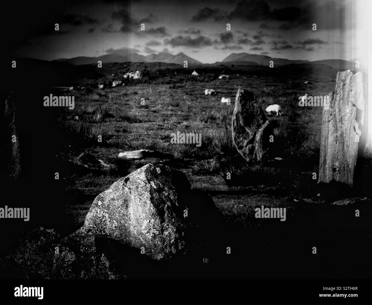 Black and white image of Callanish IIIl standing stones stone circle, Isle of Lewis, Outer Hebrides, Scotland - Smartphone Captured Stock Image