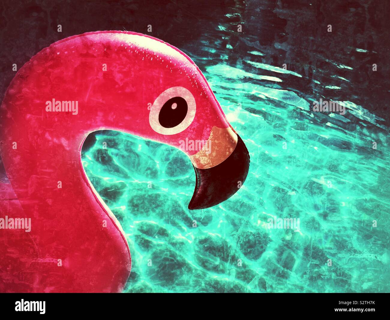 Close up head of inflatable pink flamingo floating in swimming pool outdoors on a hot sunny summer day. - Smartphone Captured Stock Image