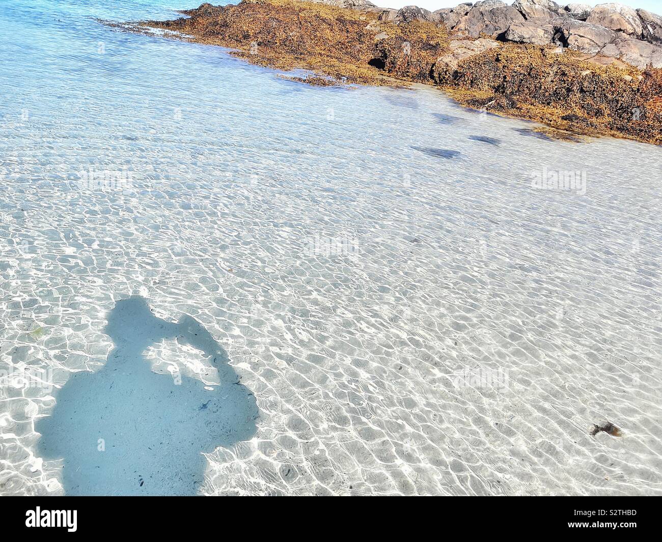 Shadow of man taking photograph standing in clear sunlit sea - Smartphone Captured Stock Image