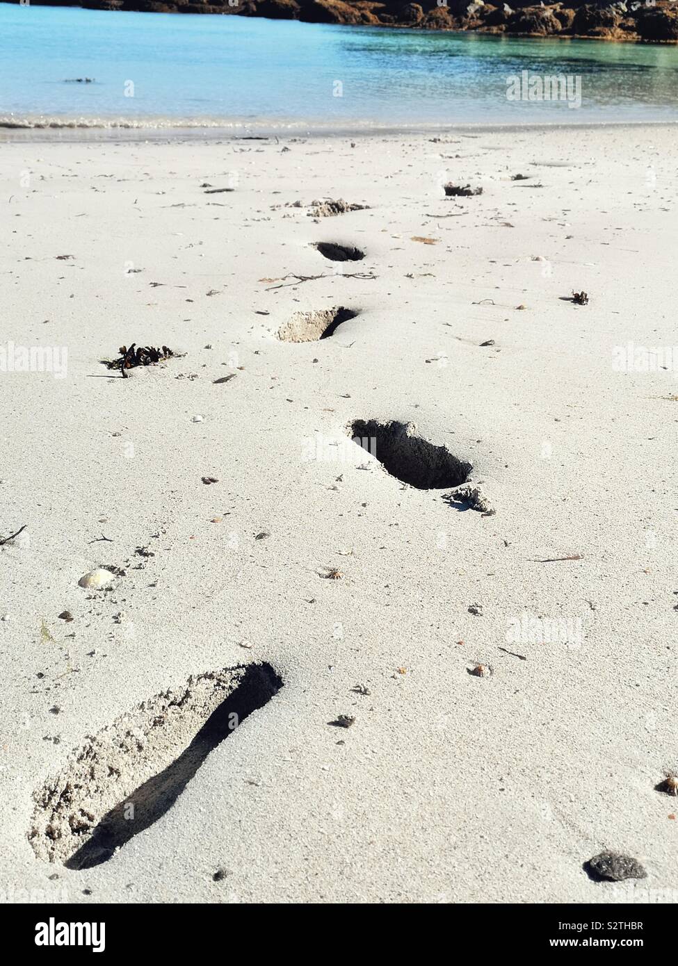 Footsteps in the sand leading to ocean - Smartphone Captured Stock Image