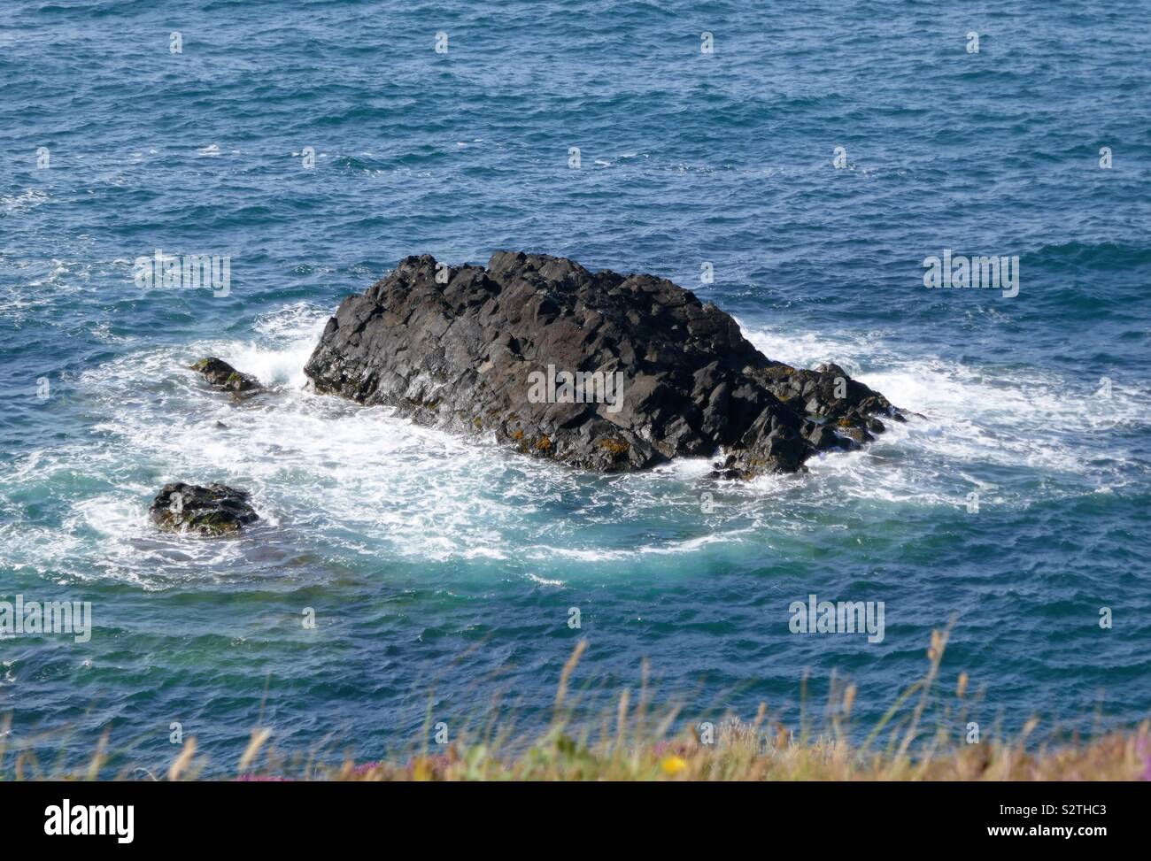 Waves crashing against the rocks off the Pembrokeshire Coast with  wild flowers and grasses in the foreground. Stock Photo