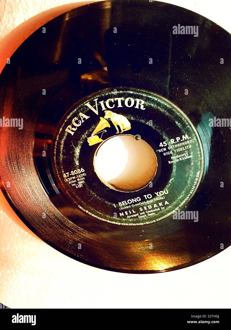 Vintage vinyl record , RCA Victor label, I belong to you by Neil Sedaka, USA Stock Photo
