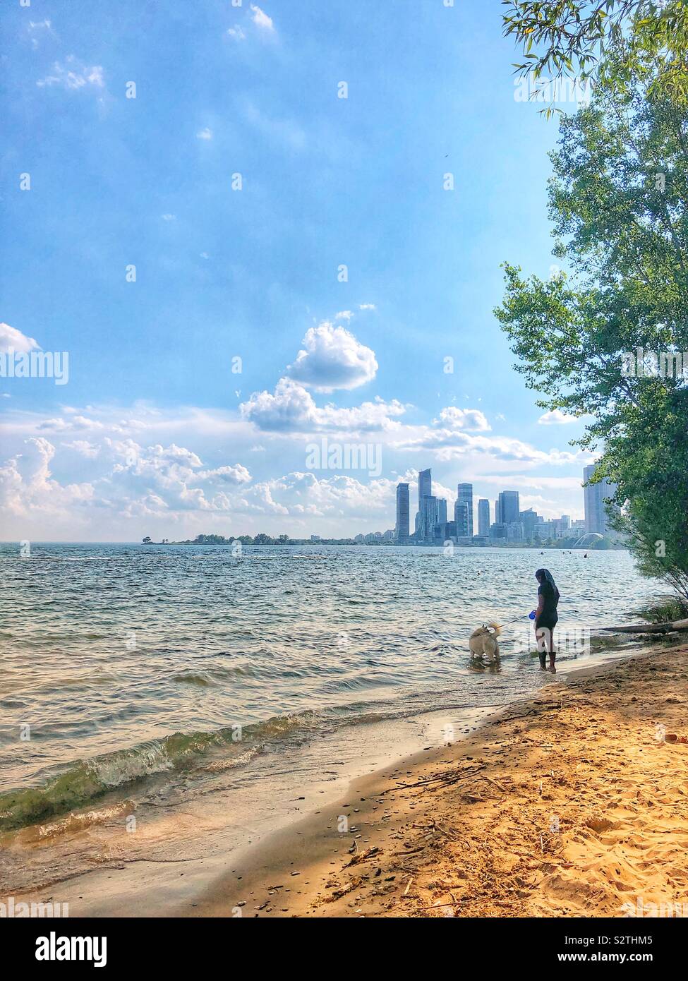 A day at the beach on the shores of Lake Ontario in Toronto, Canada. - Smartphone Captured Stock Image