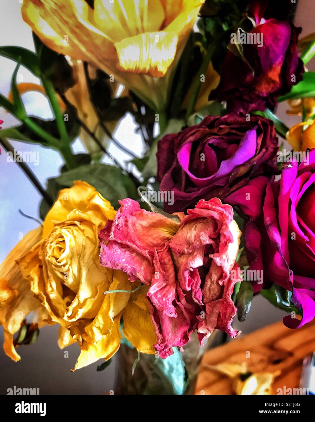 Fading beauty. Cut flowers wilting with age Stock Photo Alamy