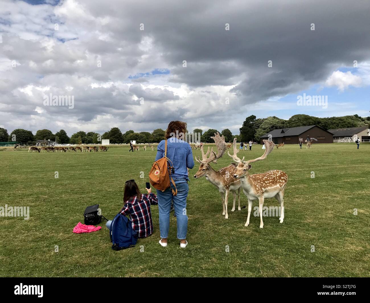 Two young women feed Sitka deer in Phoenix Park, Dublin, Ireland. - Smartphone Captured Stock Image