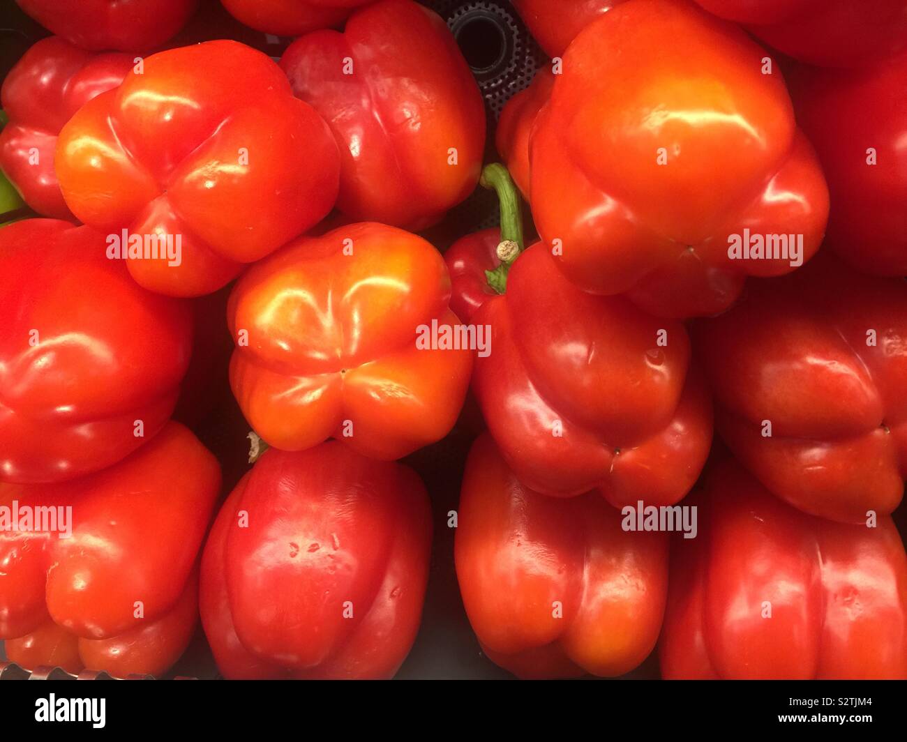 Background of a pile of red bell peppers - Smartphone Captured Stock Image