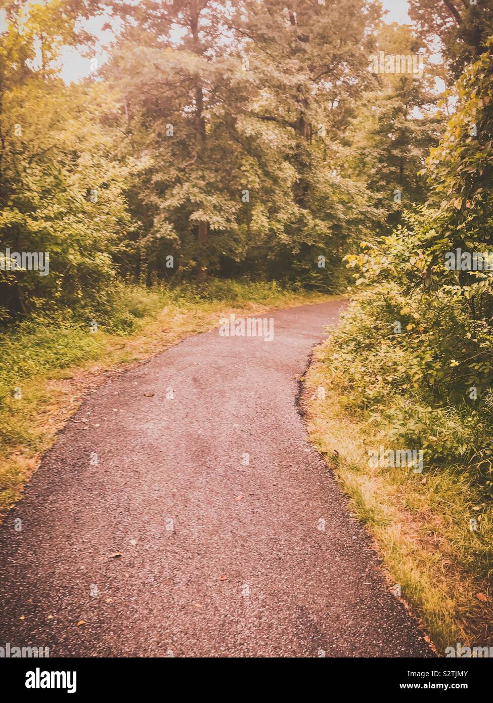 The unbeaten path, the road less traveled Stock Photo