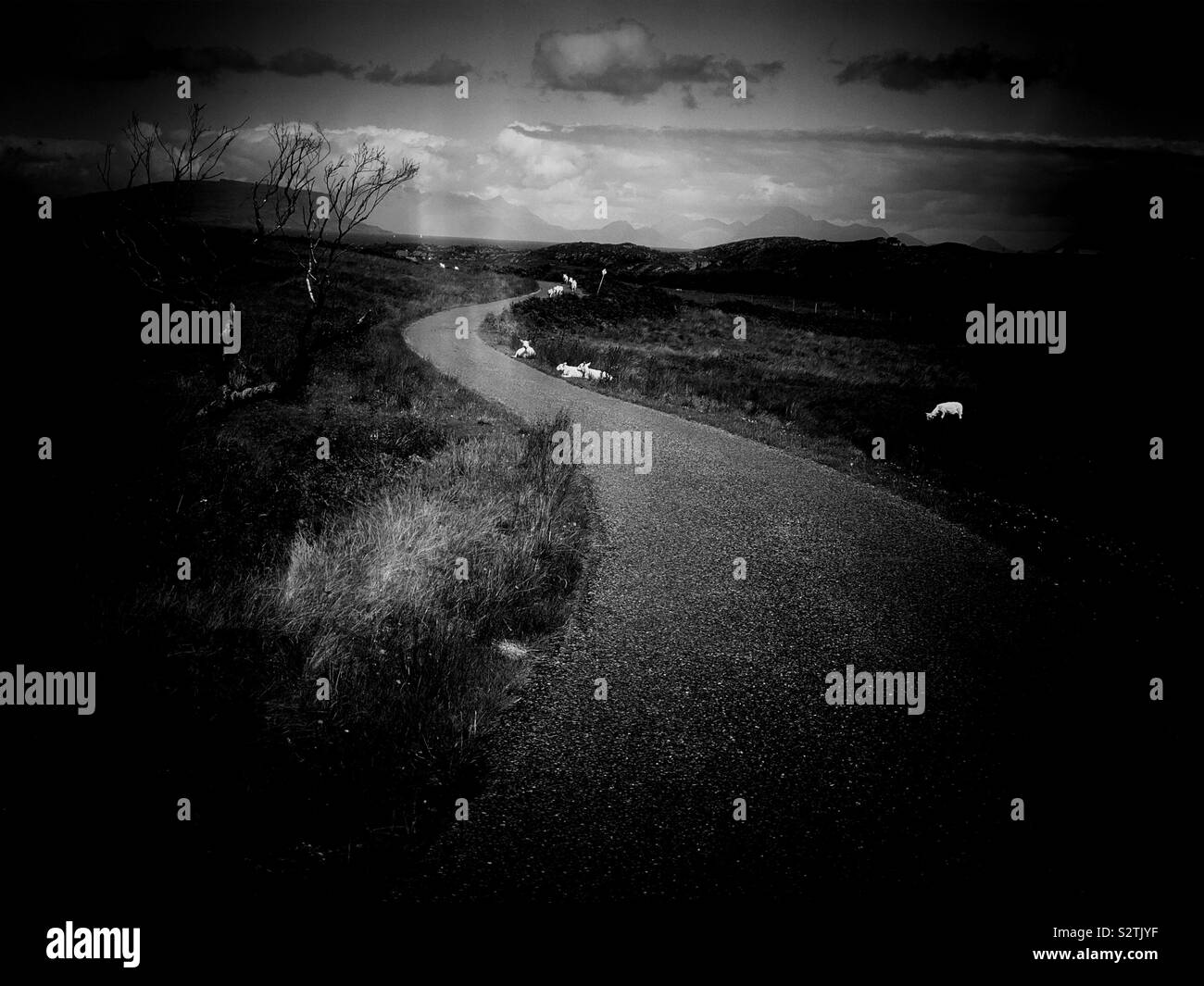 Black and white image of single track road through the wild and remote Ardnamurchan Peninsula, Scotland - Smartphone Captured Stock Image