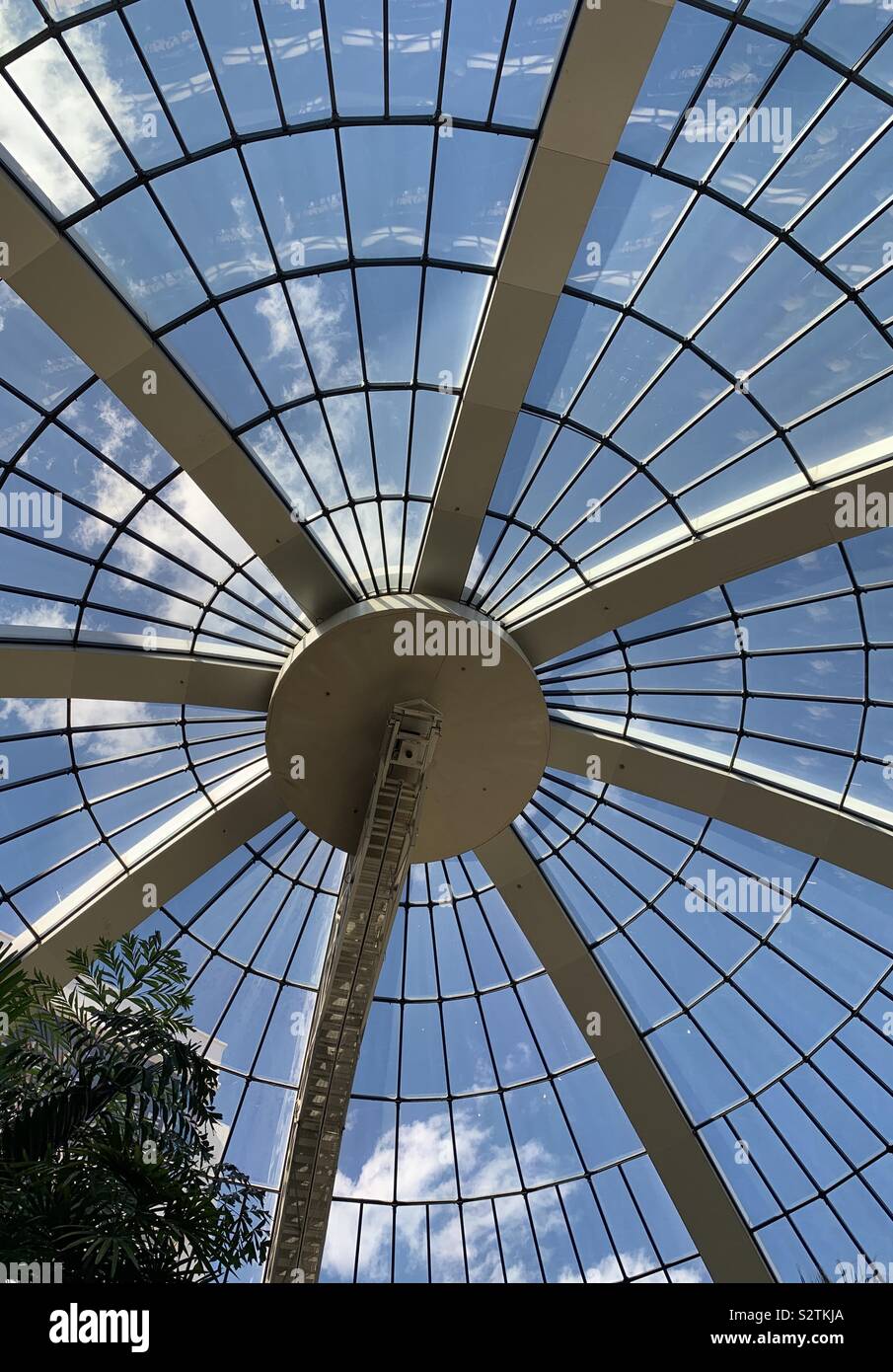 Large glass dome with view of blue skies - Smartphone Captured Stock Image