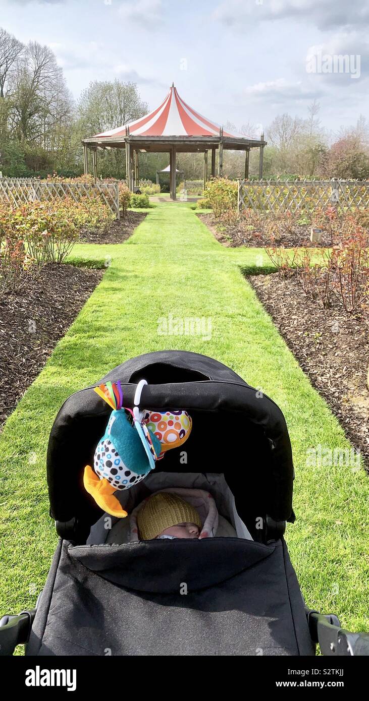 Baby sleeping in pram hires stock photography and images Alamy