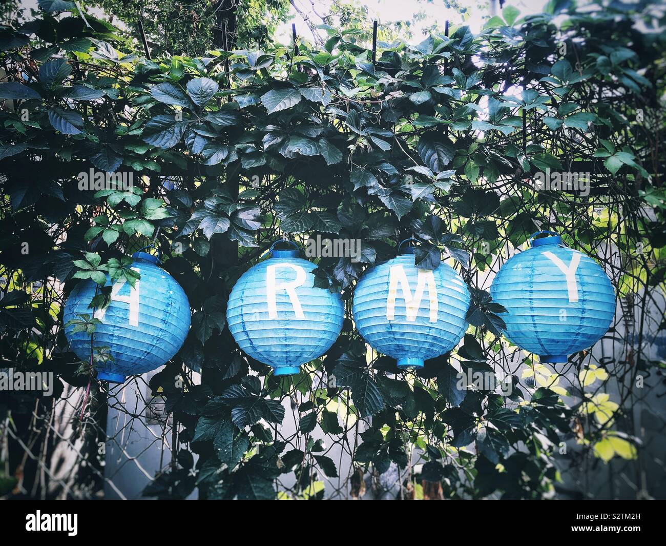 ARMY word over paper lanterns against a fence with wild grape leaves - Smartphone Captured Stock Image