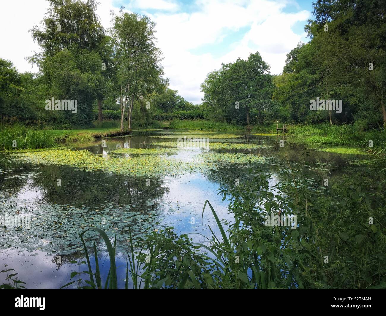 Swelling Hill Pond, Four Marks, Hampshire, England, United Kingdom. Stock Photo