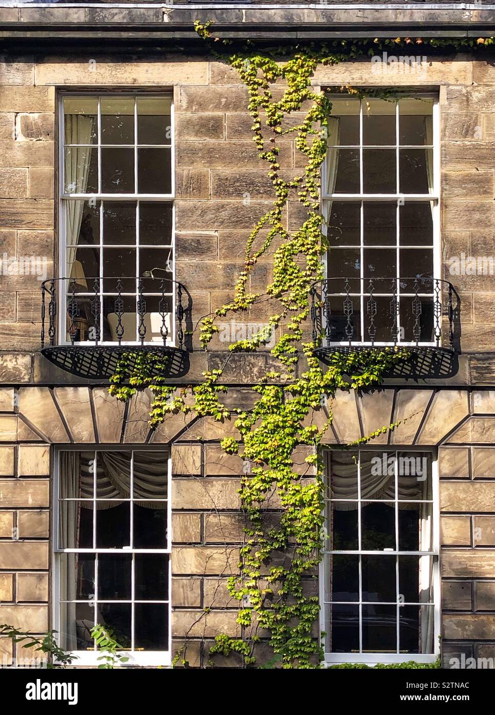 Ivy covered Georgian townhouse - Smartphone Captured Stock Image