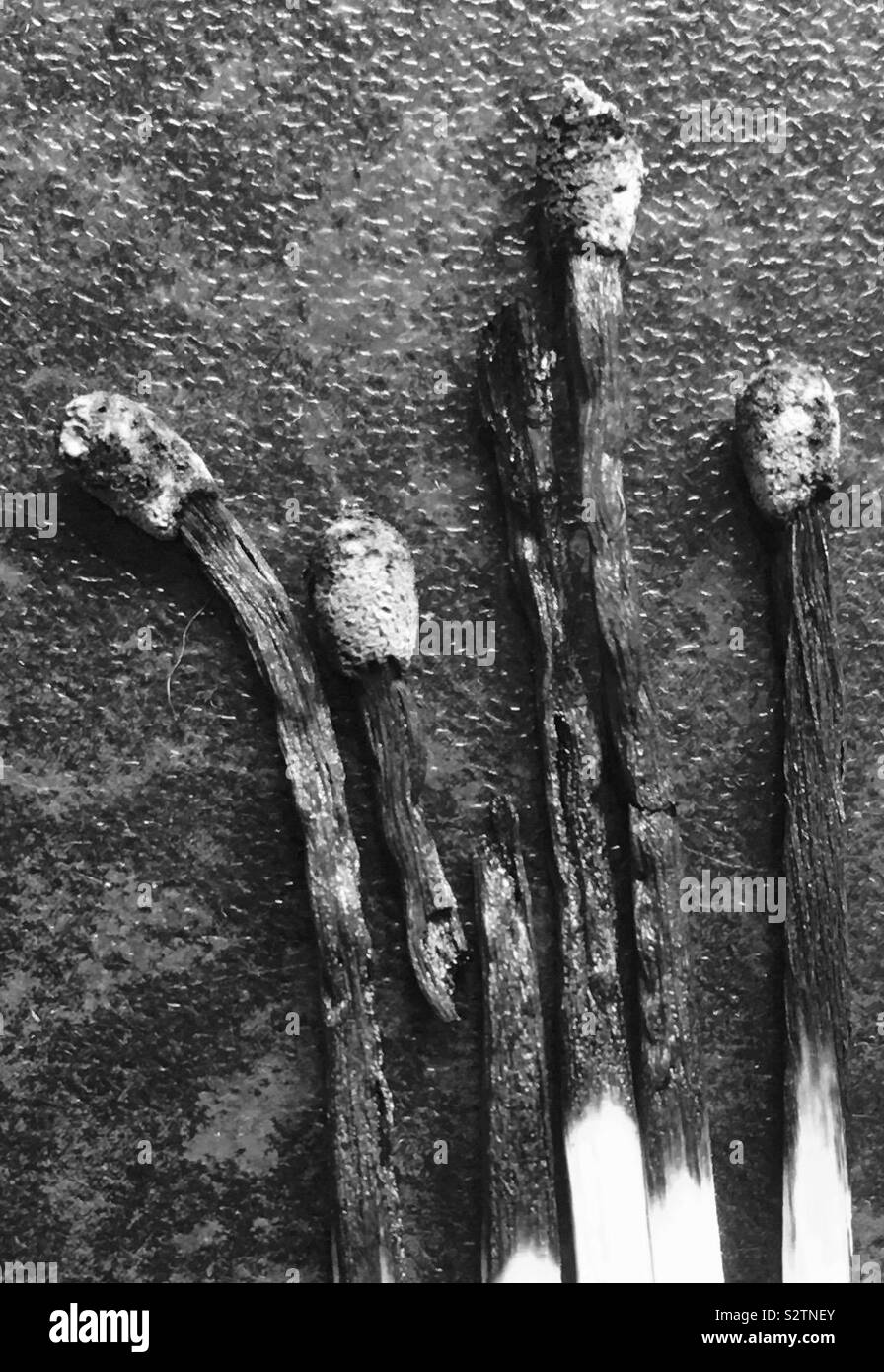 Burnt match heads Stock Photo Alamy