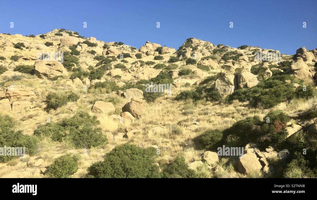 Rocky yellow landscape with green shrubs in Chatsworth area of California in morning sunlight Stock Photo