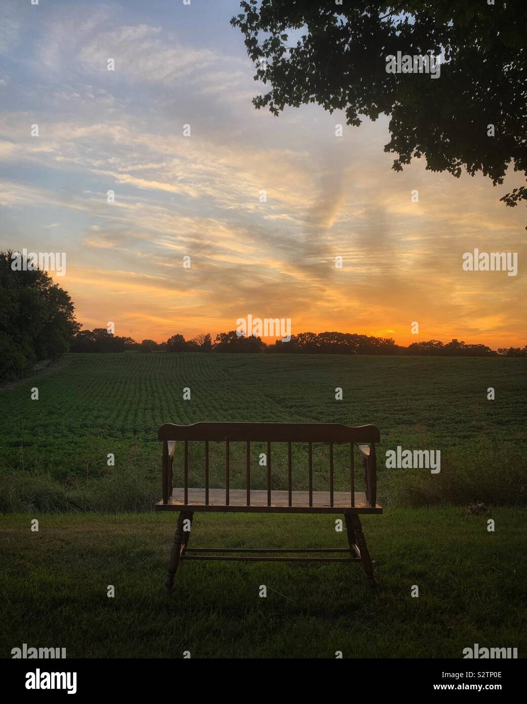 Bench looking out towards setting sun in the countryside. - Smartphone Captured Stock Image