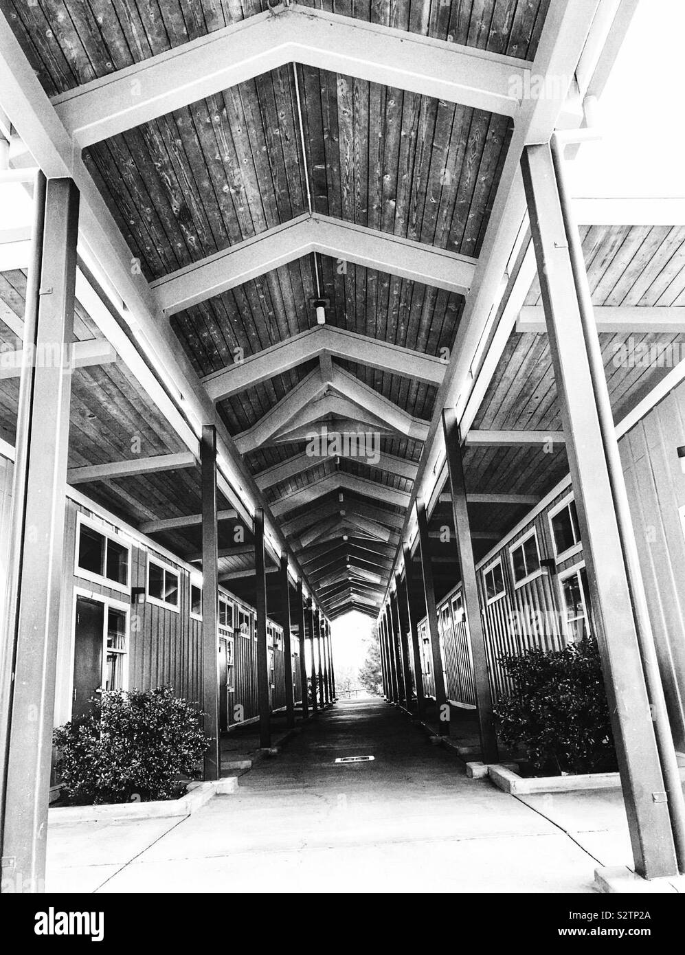 Black and white picture of a very long and tall walkway at a middle school Stock Photo