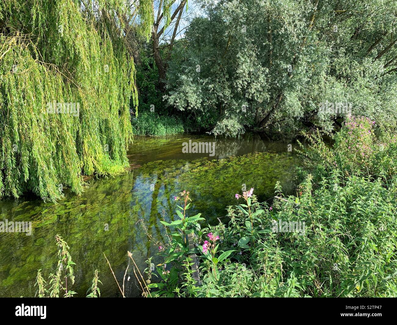 River lee valley hi-res stock photography and images - Alamy