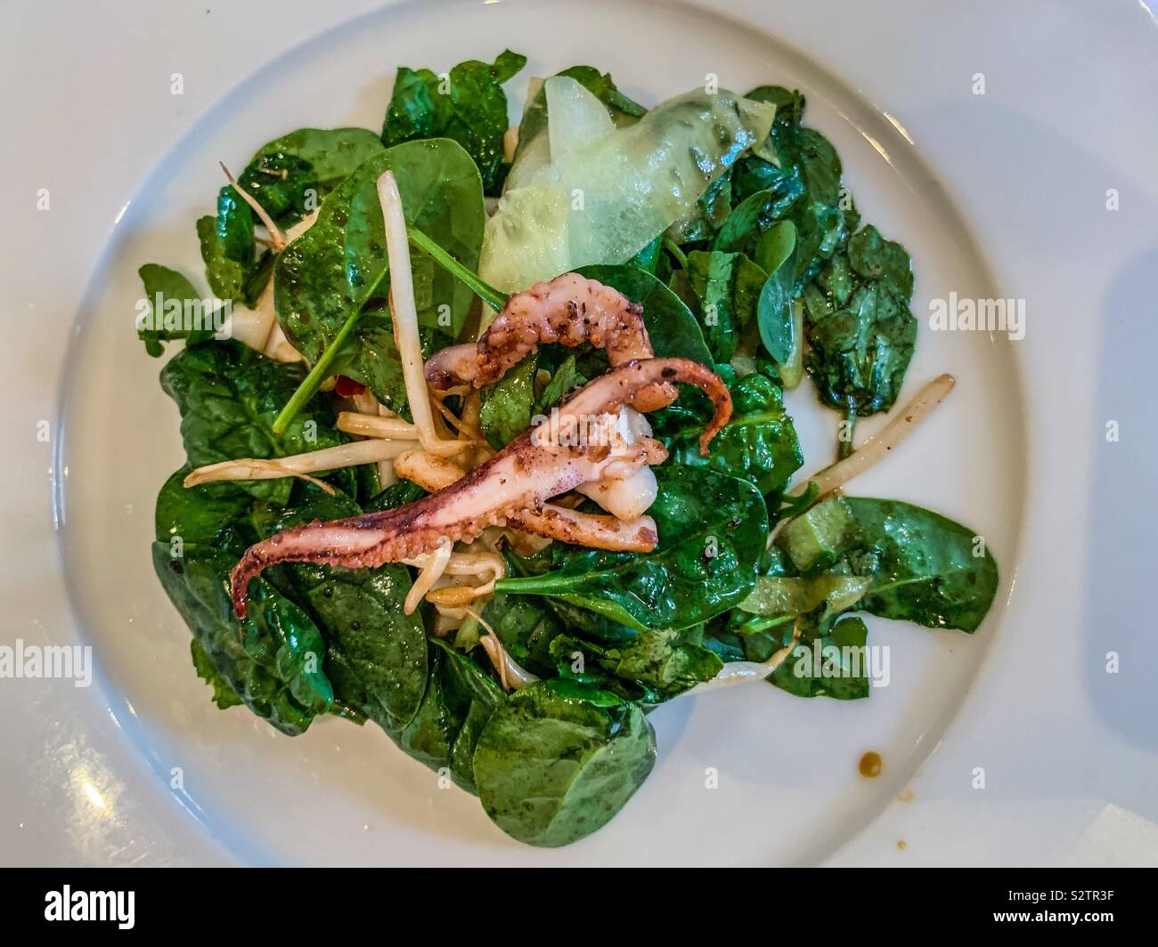 Salt and pepper squid with spinach at Rick Steins seafood restaurant in Padstow Cornwall Stock