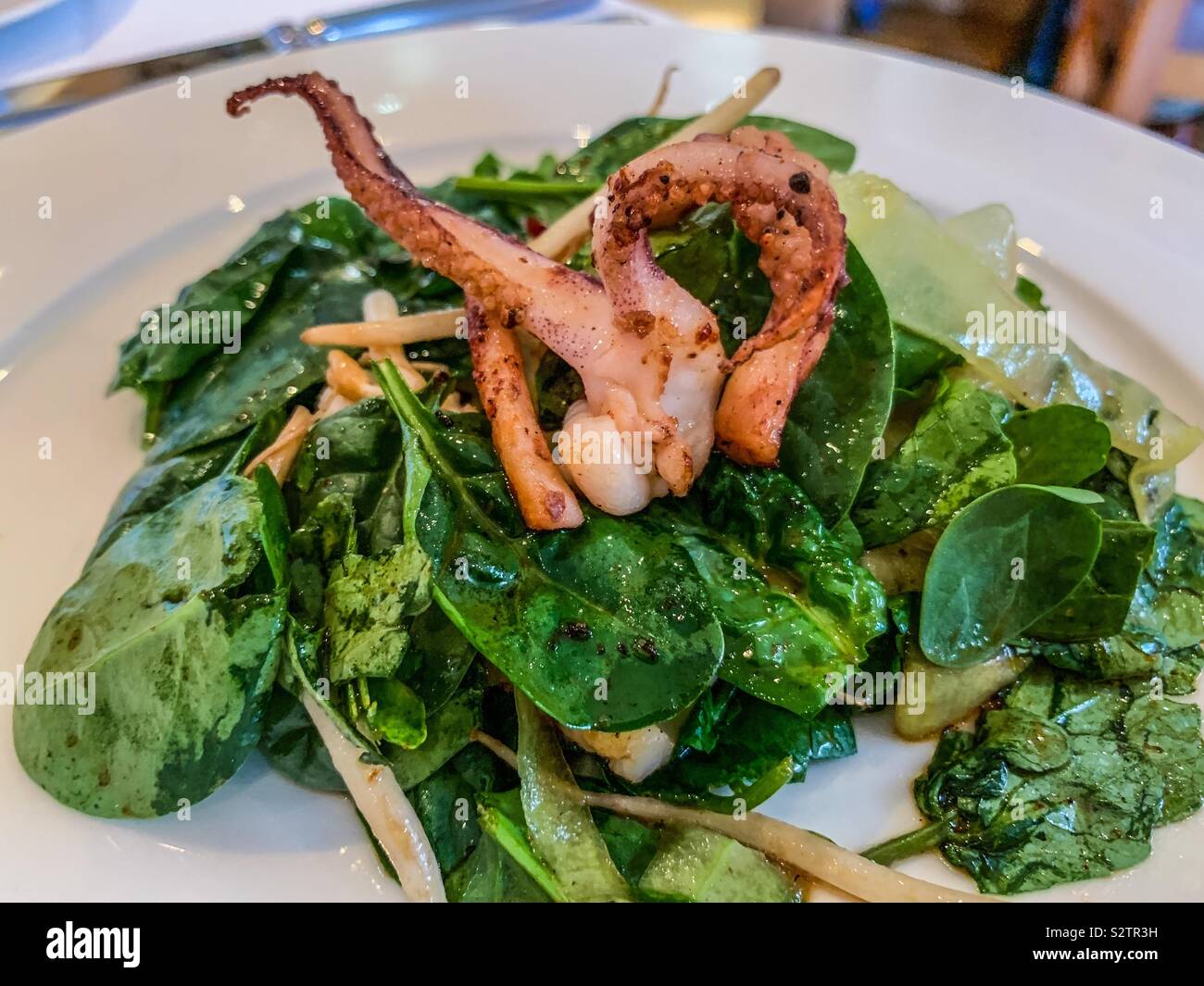 Salt and pepper squid at Rick Steins seafood restaurant in Padstow Cornwall Stock Photo Alamy