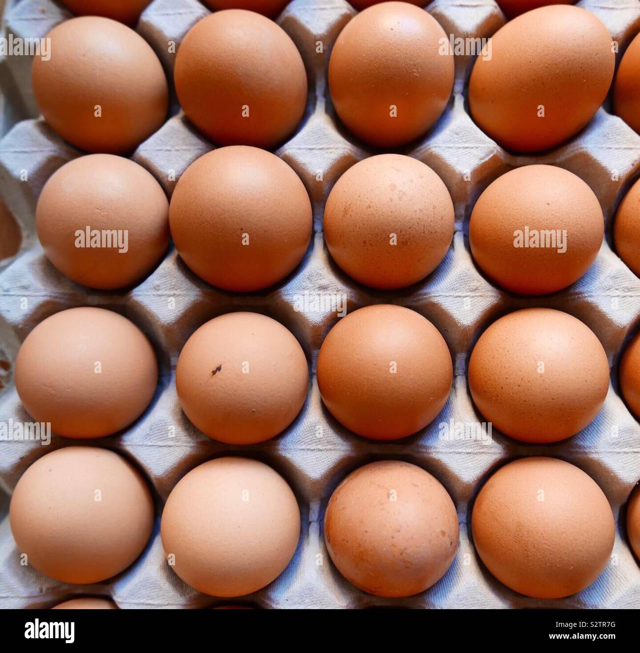 700 gram eggs hires stock photography and images Alamy
