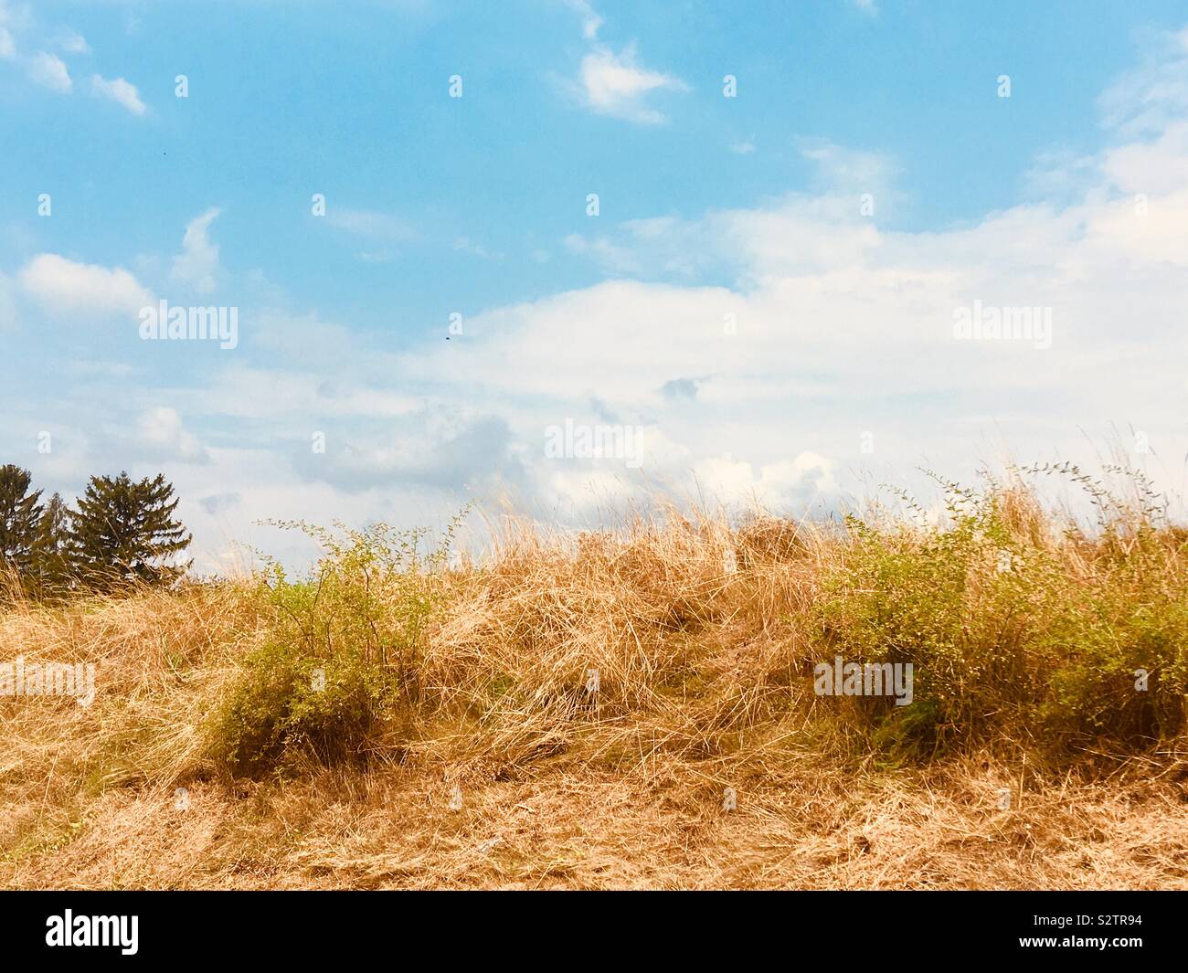 Bludov - Smartphone Captured Stock Image