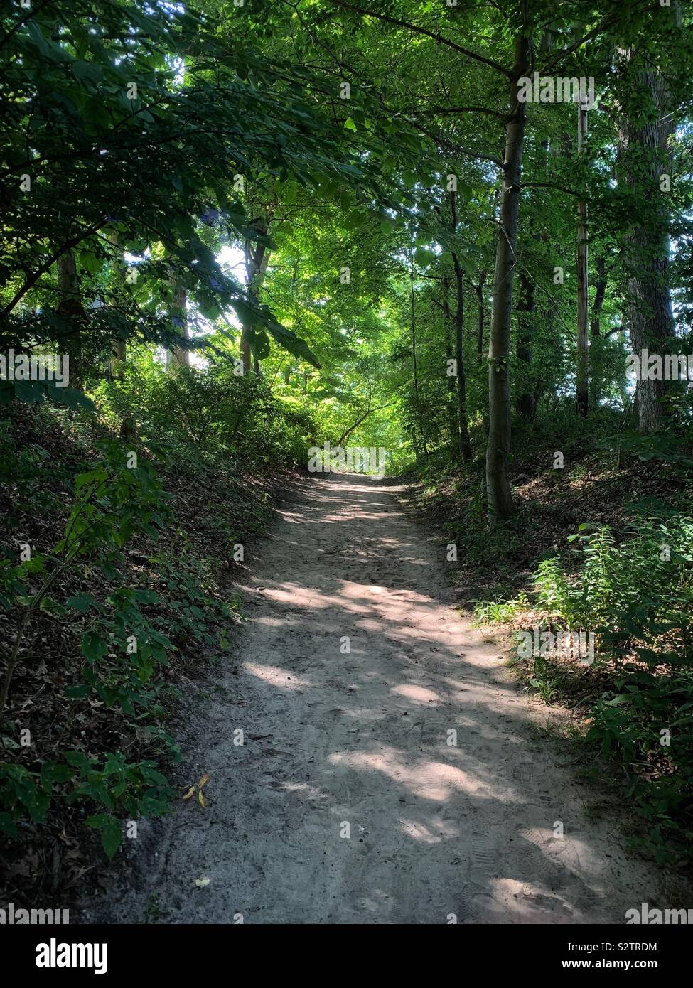Worn dirt path thru dense woods leading to the beach. - Smartphone Captured Stock Image