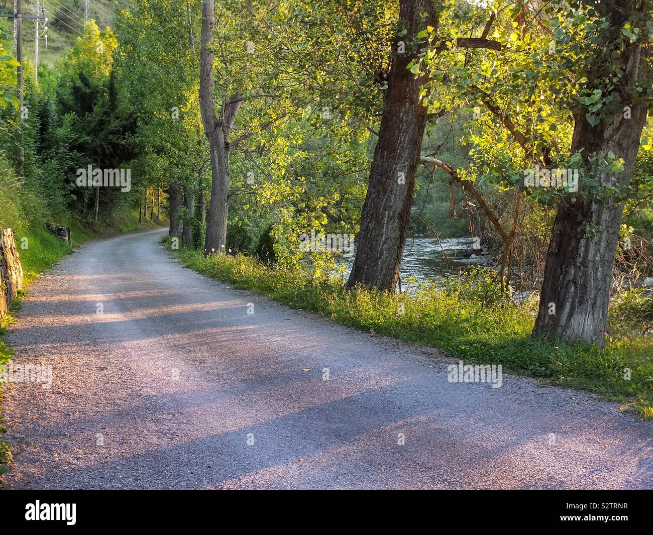 Road by the river Stock Photo Alamy