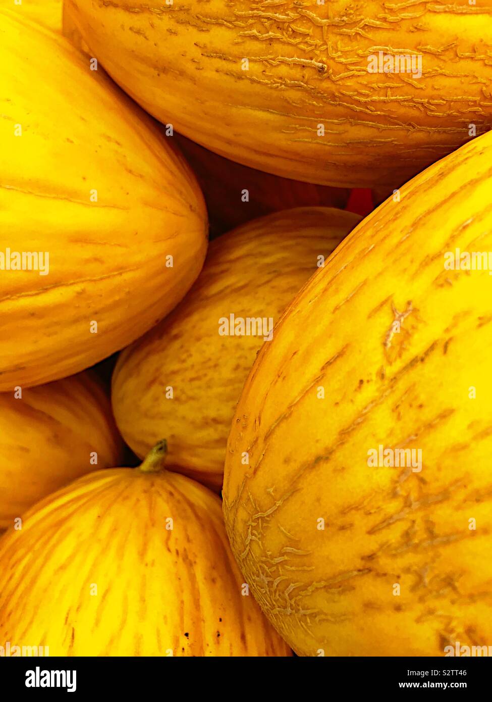 Ripe canary melons Stock Photo Alamy