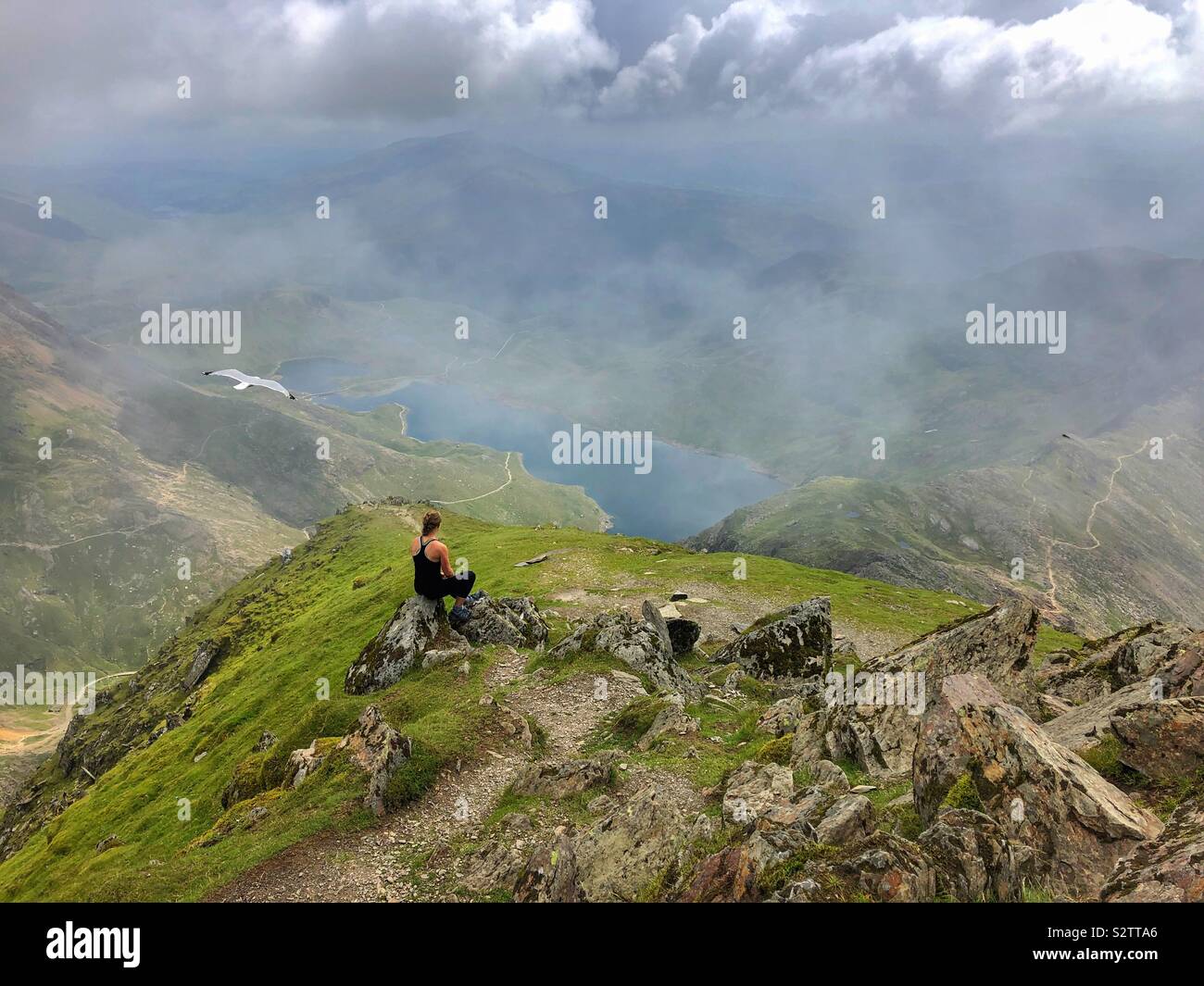 Young woman enjoying the view over Llyn Llydaw from Snowdon with a seagull flying past. - Smartphone Captured Stock Image
