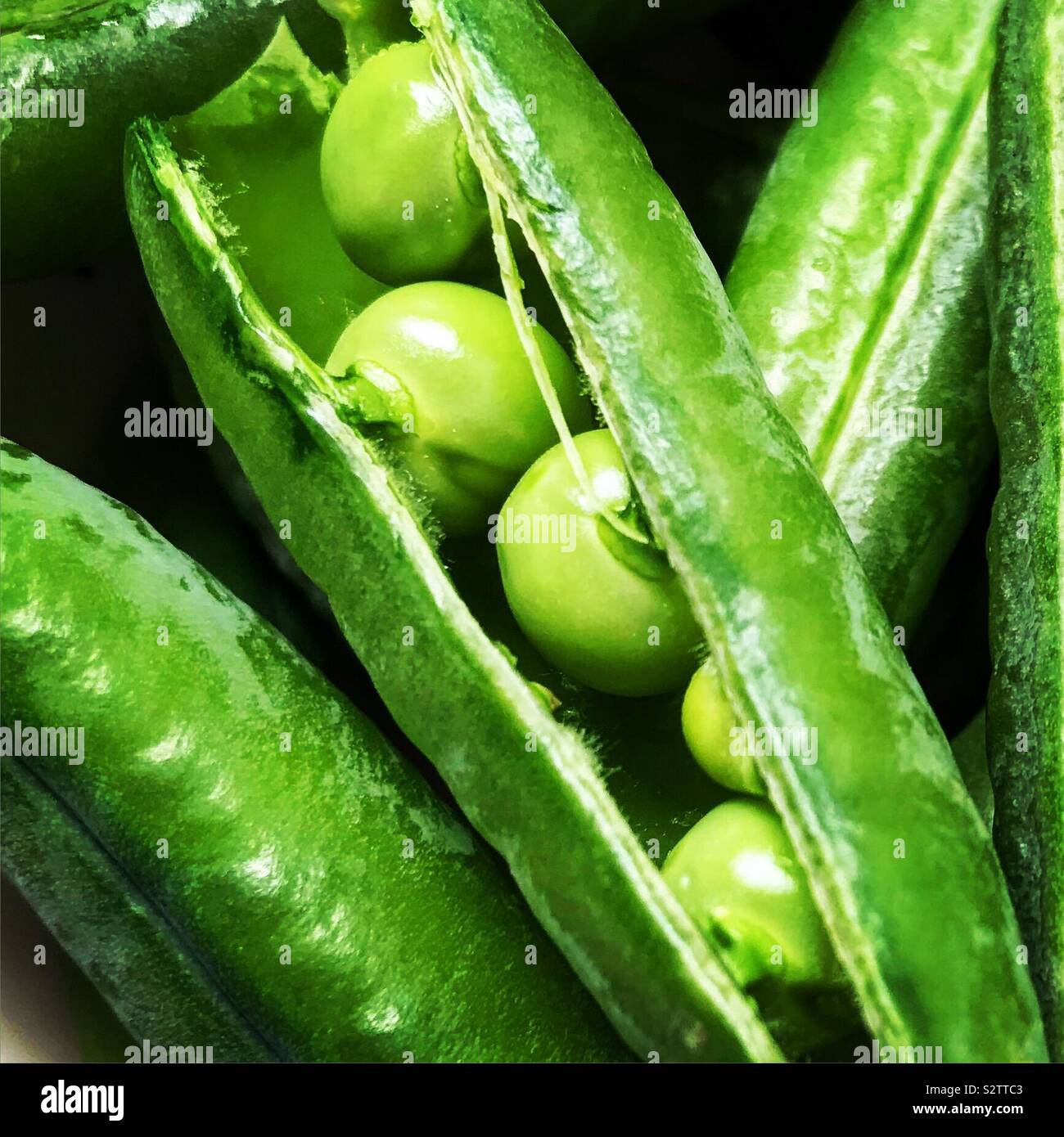 Peas in a Pod Stock Photo