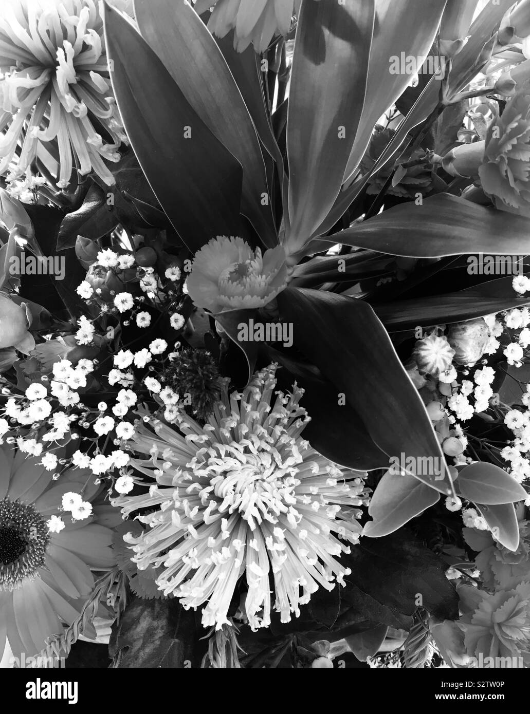 Black and white image of floral display Stock Photo