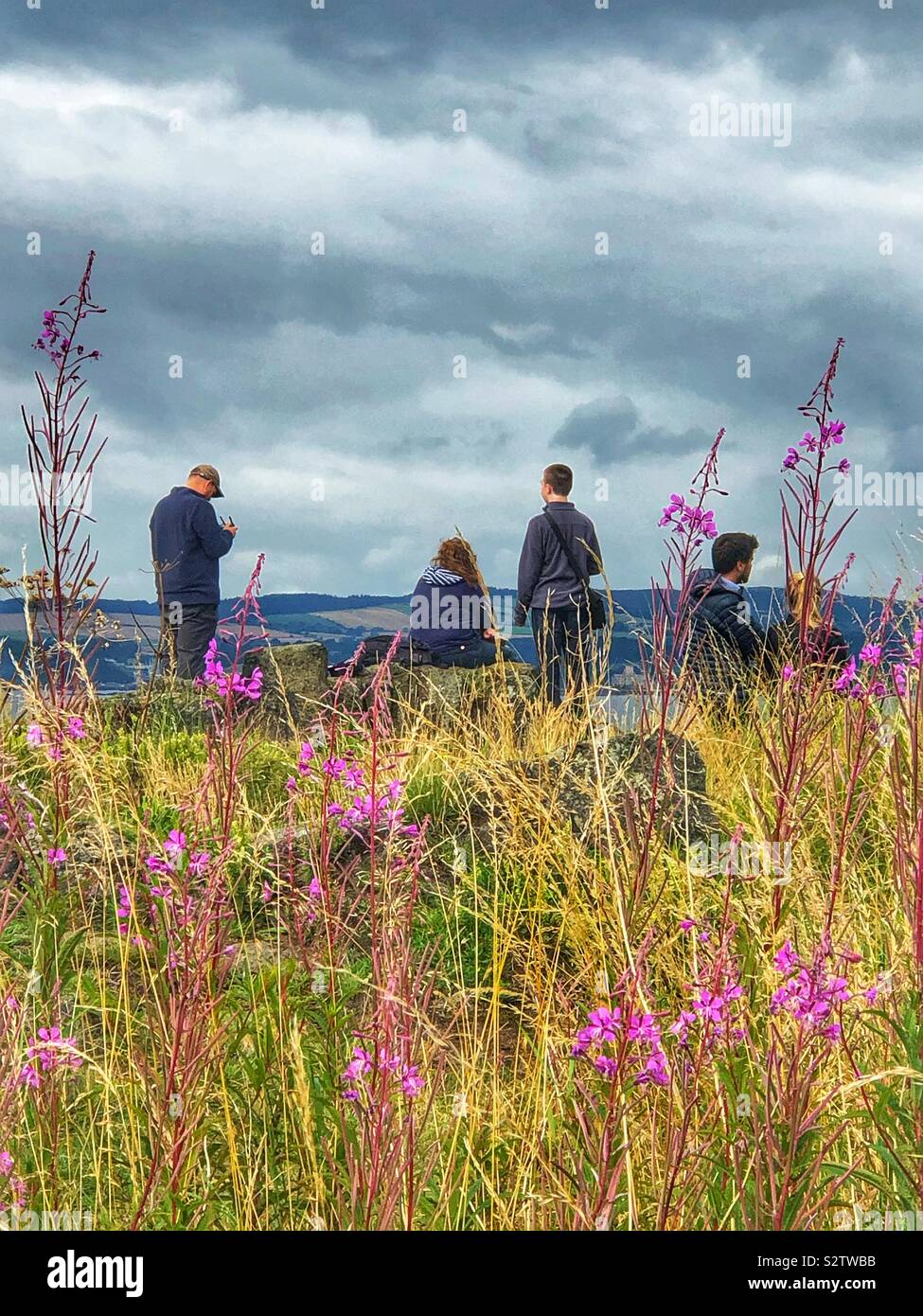 Watching people Through the weeds - Smartphone Captured Stock Image