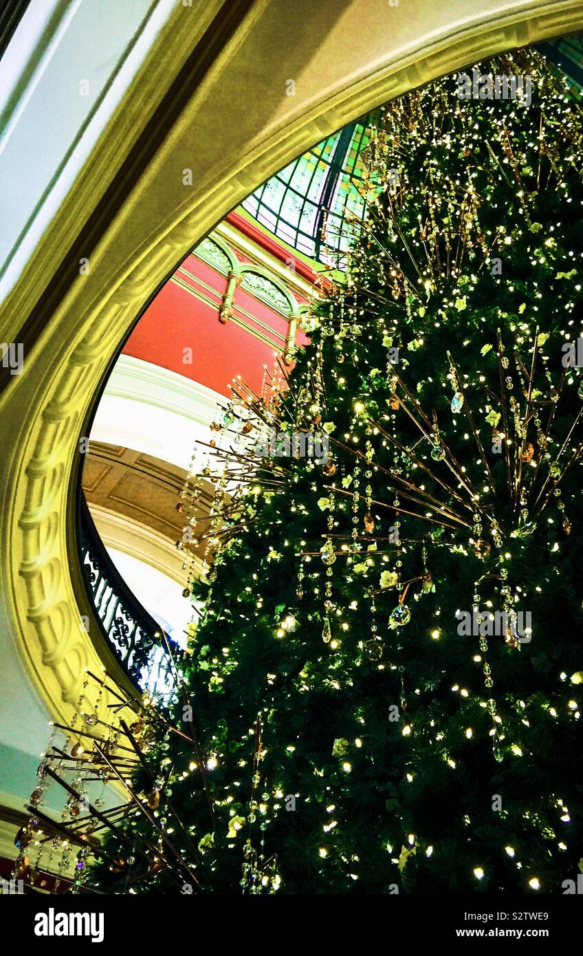 Christmas tree Queen Victoria Building Sydney Stock Photo Alamy