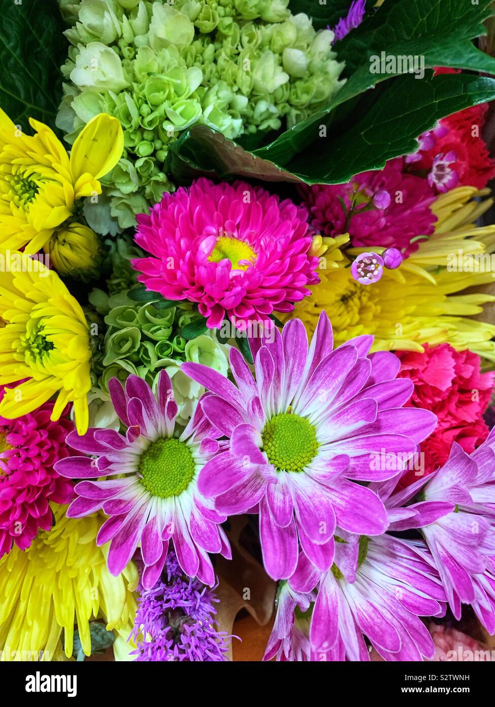 Beautiful bouquet of fresh pink and yellow summer flowers. - Smartphone Captured Stock Image