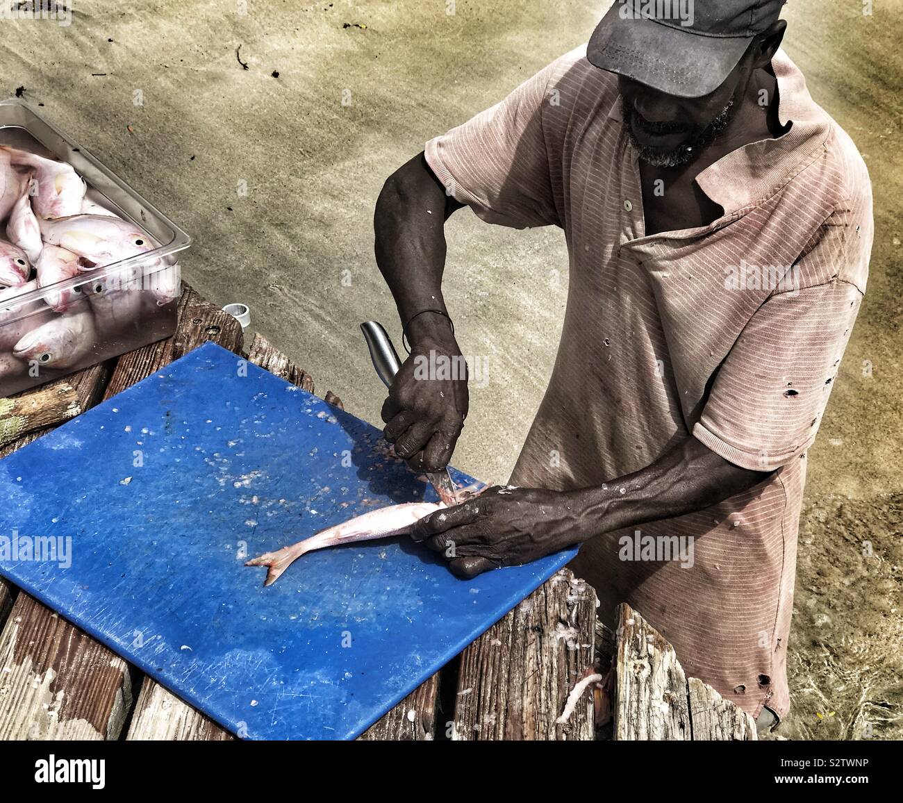 Man gutting Fish on Jetty On Princess Margaret Beach - Bequia, St.Vincent and the Grenadines - Smartphone Captured Stock Image
