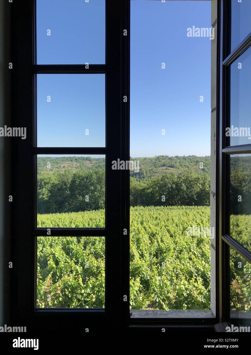 Window with a view across vineyard - Smartphone Captured Stock Image
