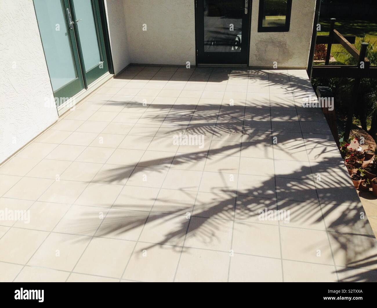 Tile deck with palm shadow Stock Photo - Alamy
