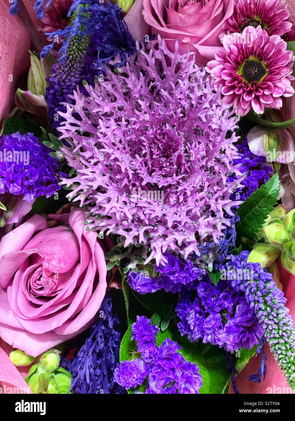 Beautiful summer flower bouquet including silver ragwort, Jacobaea maritima, painted purple. Stock Photo
