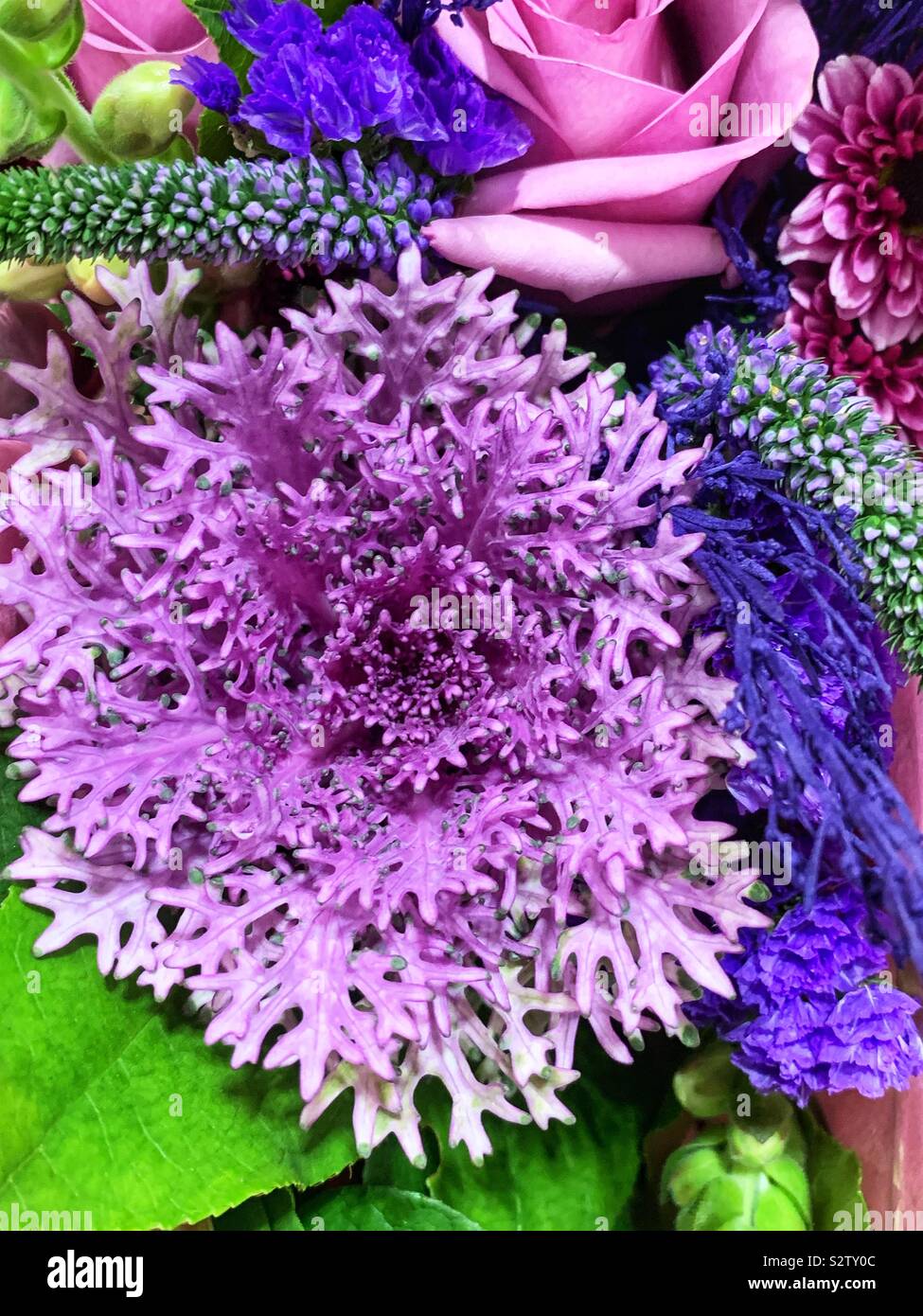 Beautiful summer flower bouquet including silver ragwort, Jacobaea maritima, painted purple. - Smartphone Captured Stock Image